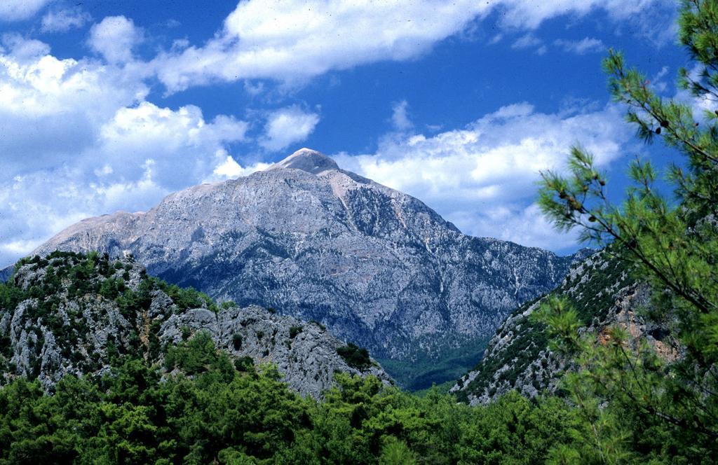 Myland Nature Cirali Exterior photo