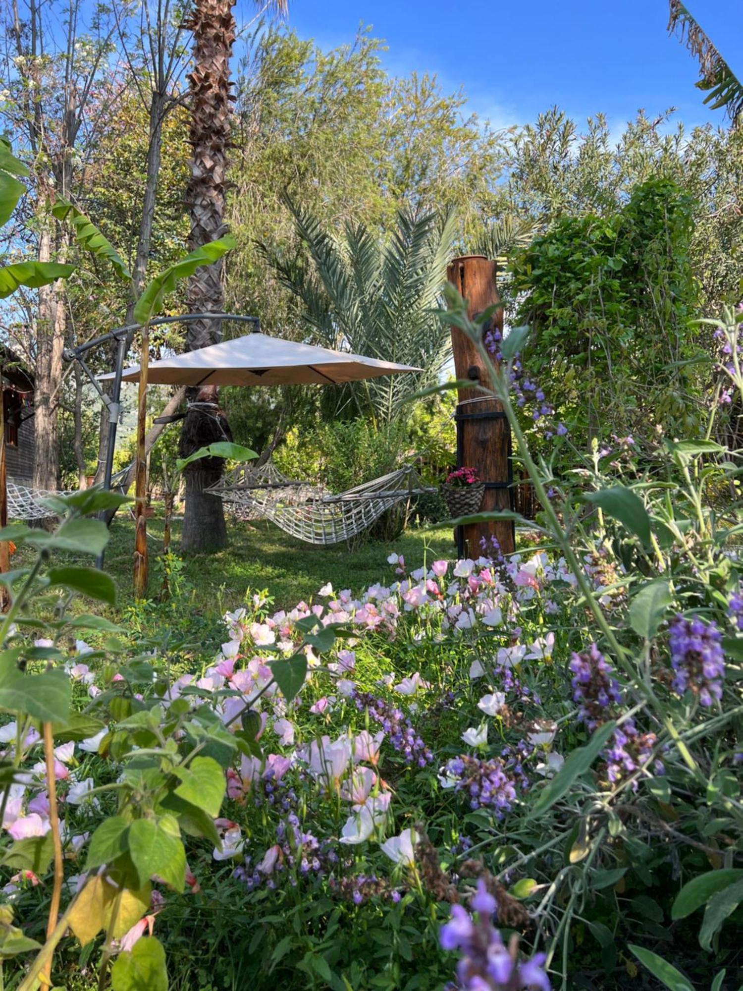 Myland Nature Cirali Exterior photo