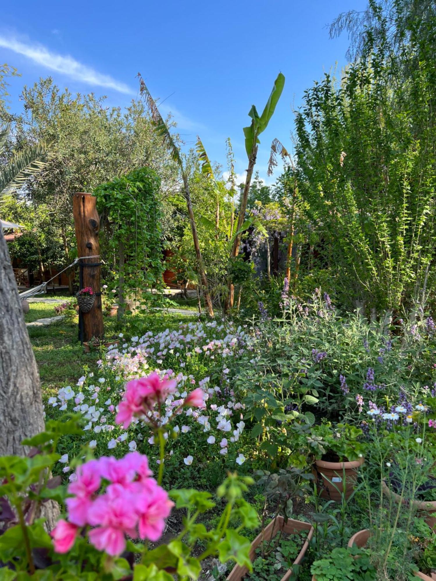 Myland Nature Cirali Exterior photo