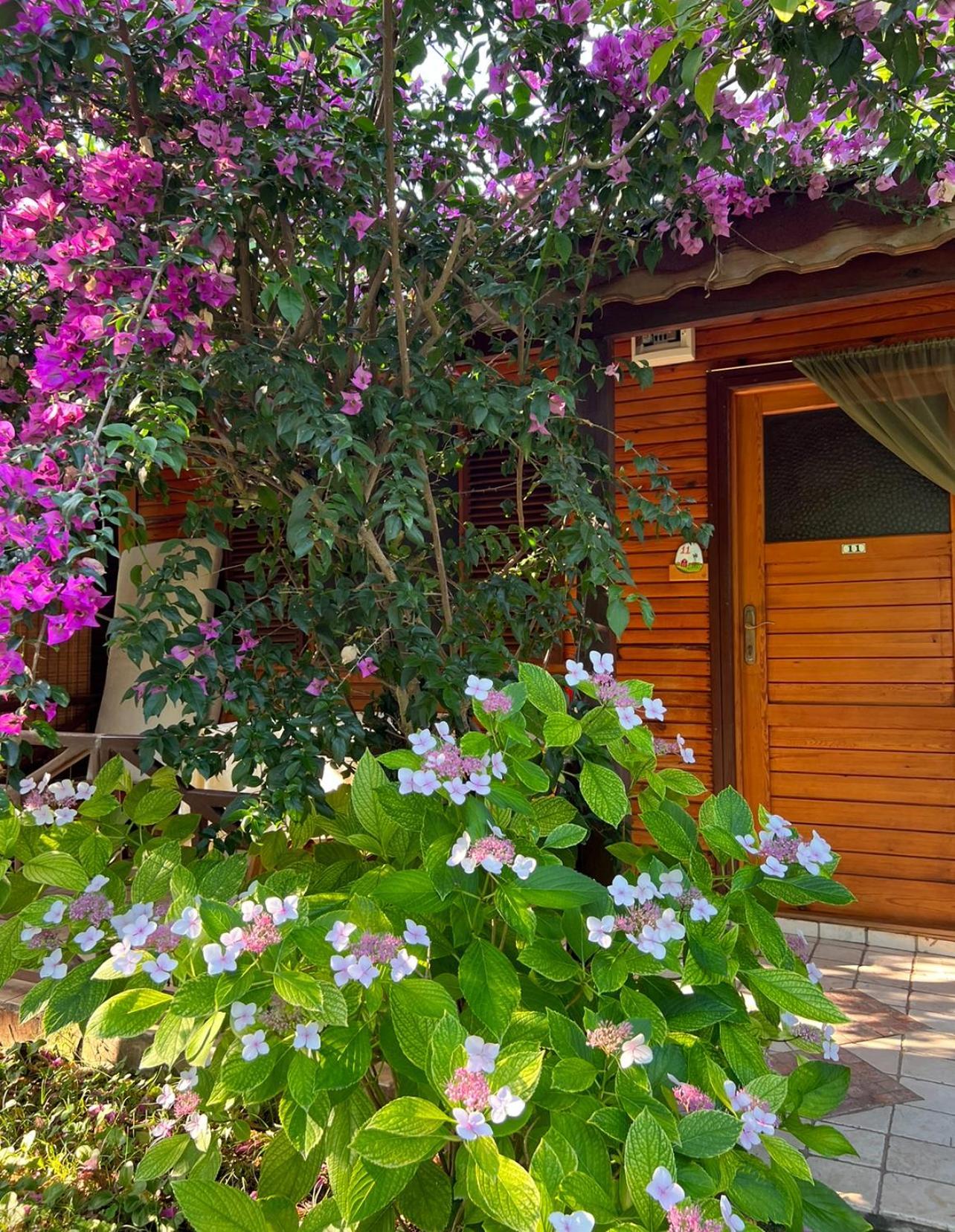 Myland Nature Cirali Exterior photo