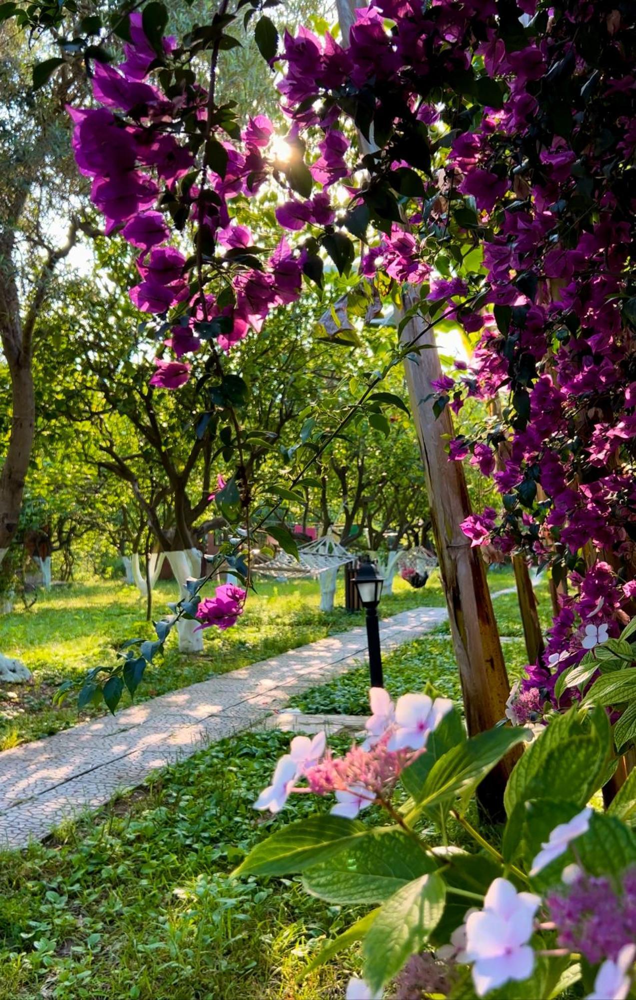 Myland Nature Cirali Exterior photo