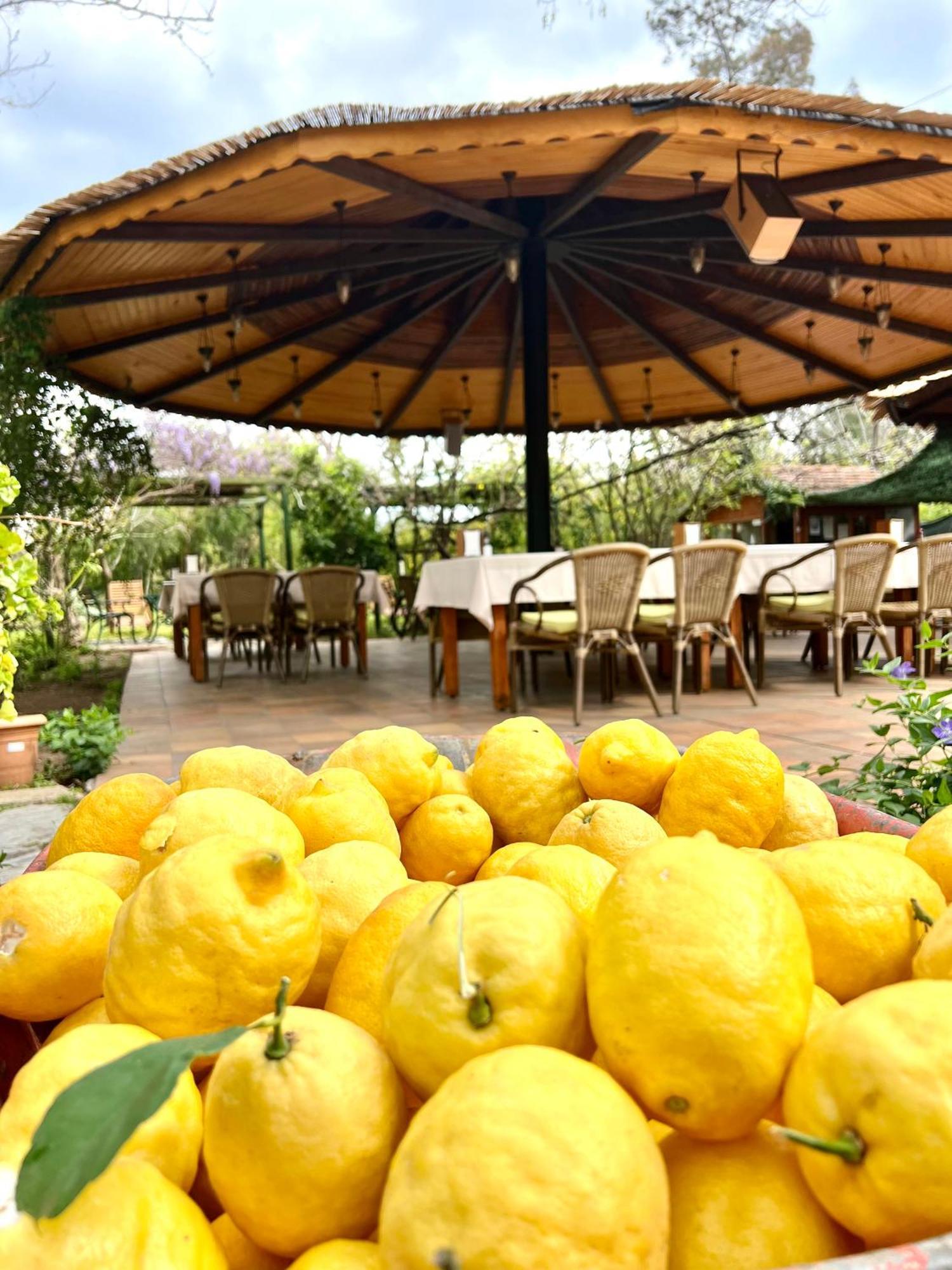 Myland Nature Cirali Exterior photo