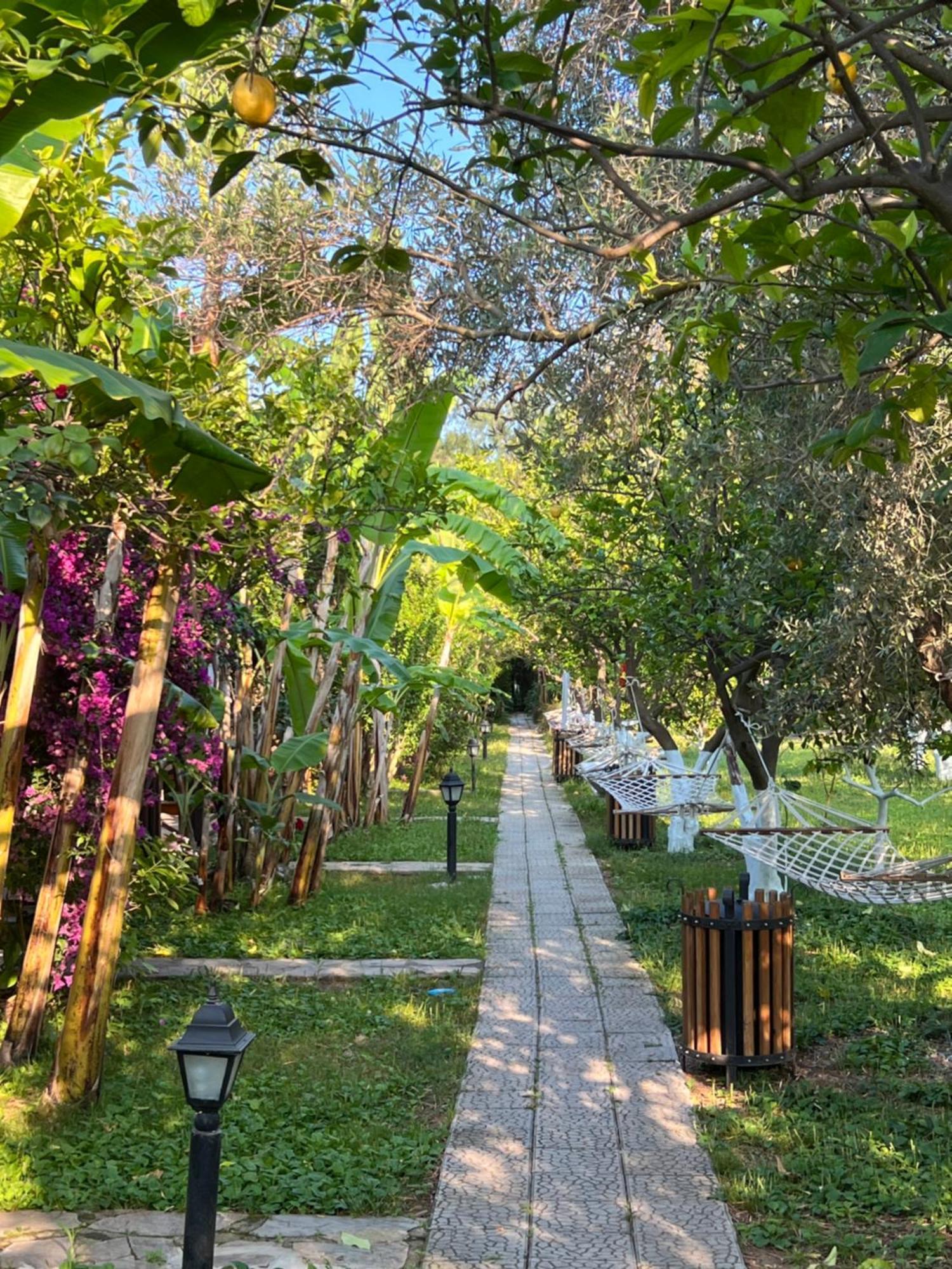 Myland Nature Cirali Exterior photo