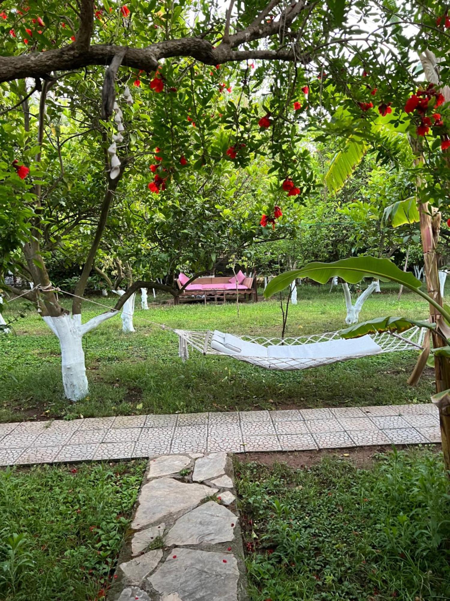 Myland Nature Cirali Exterior photo