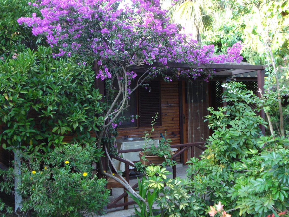Myland Nature Cirali Exterior photo