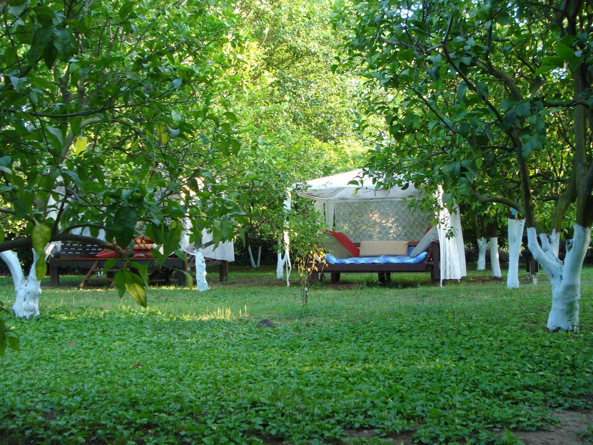 Myland Nature Cirali Exterior photo